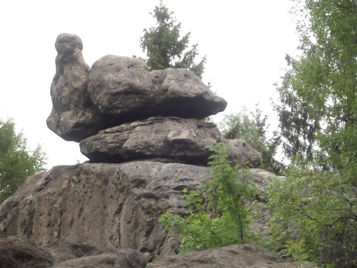 ホテル Zum Hecht Herrnhut エクステリア 写真